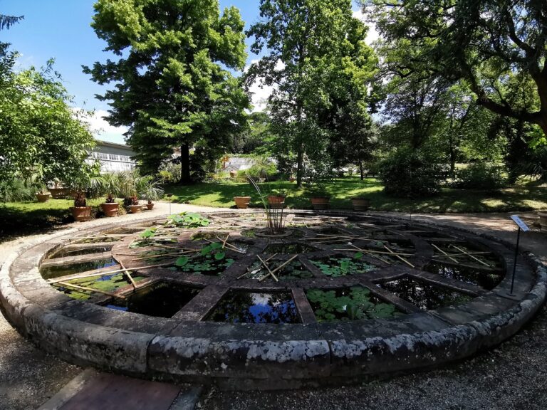 Giardino della Botanica Superiore, Boboli