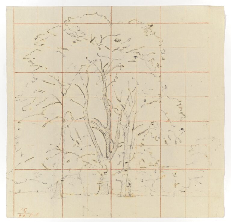 john constable study for elm trees in old hall park east bergholt pencil squared for transfer 251x257 1 Arti antiche e Intelligenze Artificiali si incontrano nella mostra Scoletta a Venezia