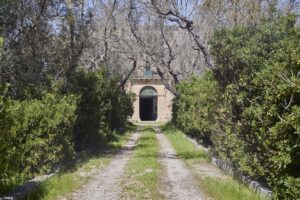 In Salento una fondazione culturale promuove incontri interdisciplinari e una visione pedagogica dell’arte