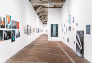 Apre Liquida Photofestival 2024. Le prime immagini del festival di fotografia contemporanea di Torino