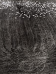 Mario Giacomelli, Presa di coscienza sulla natura, 1960-2000. Courtesy Collezione Massimo Prelz Oltramonti © Eredi Mario Giacomelli