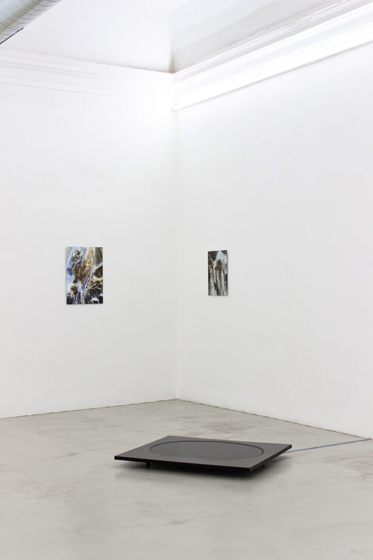 Metamorfosi, installation view at Labs, Bologna, 2024