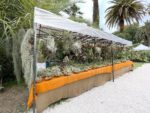 Ortidea 2024, Orto Botanico di Roma