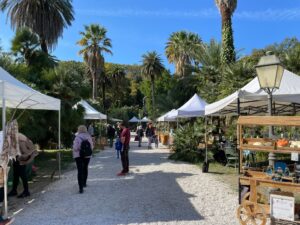 L’Orto Botanico di Roma dedica una grande mostra alle orchidee 