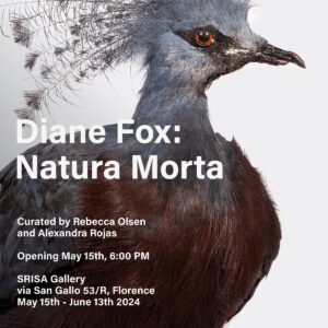 Diane Fox - Natura Morta