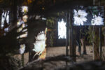 Anna Ridler, Circadian Nocturne, 2023. Animazione in loop, installazione. Installation view, courtesy of the artist