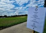 basel social club 2024 messaggi A Basilea puoi visitare una fiera in campagna mentre raccogli le fragole in un campo