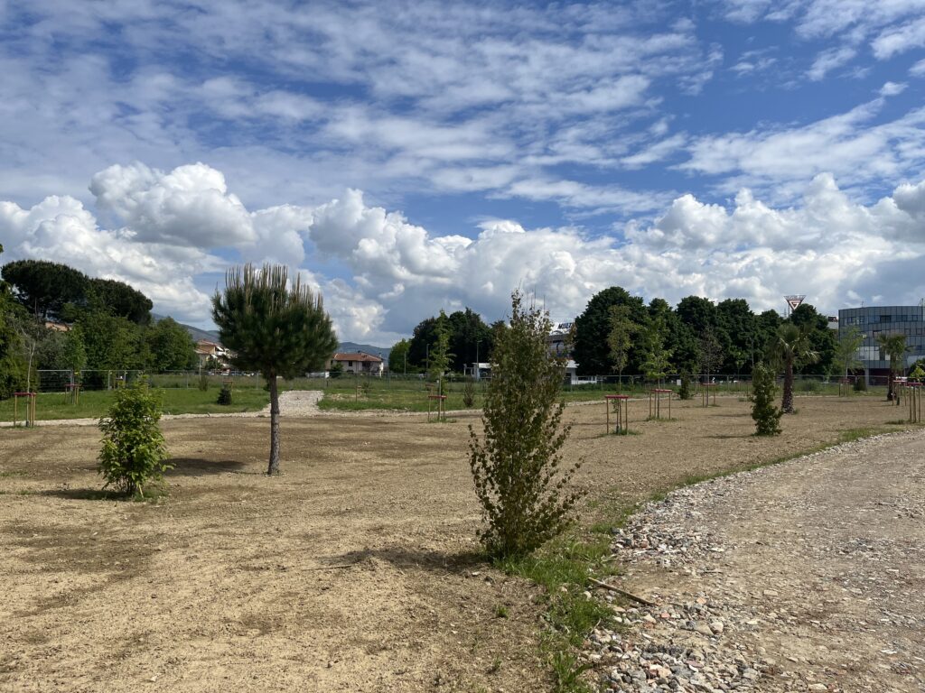 Prato ha un nuovo parco. Tutto quello che c’è da sapere sul Bosco delle Neofite