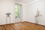 Federico Tosi, Bonsai Riot, istallation view at Monica de Cardenas, Milano, 2024