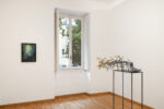 Federico Tosi, Bonsai Riot, istallation view at Monica de Cardenas, Milano, 2024