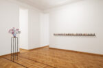 Federico Tosi, Bonsai Riot, istallation view at Monica de Cardenas, Milano, 2024