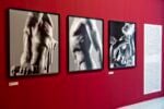 Installation view, credit Carlo Pozzoni