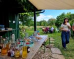 la piccola rivendita di the A Basilea puoi visitare una fiera in campagna mentre raccogli le fragole in un campo