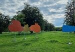 le opere di georgia sagri di fronte alle mucche a basel social club 2024 A Basilea puoi visitare una fiera in campagna mentre raccogli le fragole in un campo