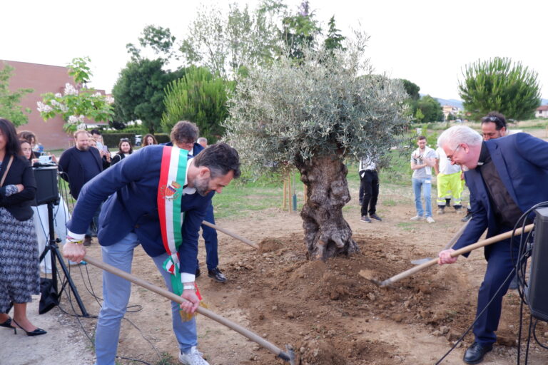 Messa a dimora dell’ulivo portato in dono dal Parco degli Ulivi delle Ville Pontificie di Castel Gandolfo. © 2024 Associazione Arte Continua
