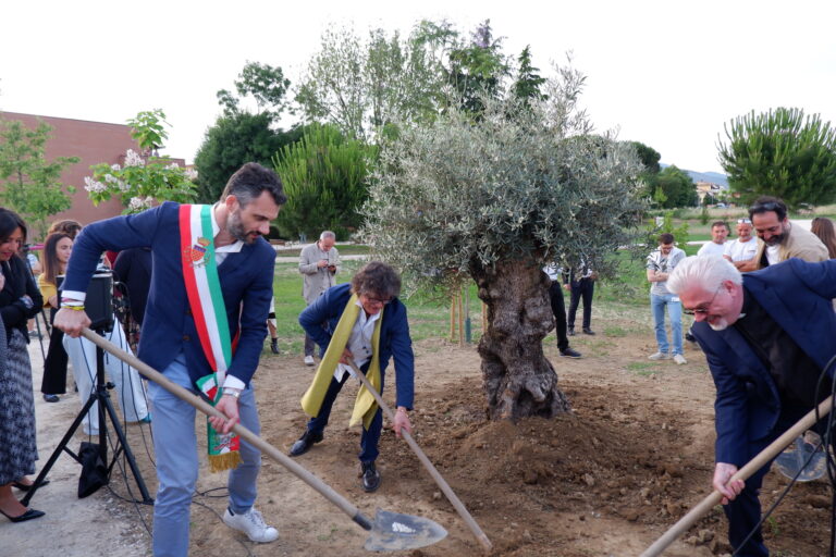 Messa a dimora dell’ulivo portato in dono dal Parco degli Ulivi delle Ville Pontificie di Castel Gandolfo. © 2024 Associazione Arte Continua