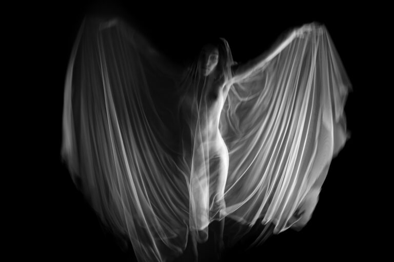 Michele Stanzione, Veil, Napoli, 2024