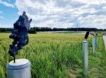 sculture di fronte ad un campo di frumento a basel social club 2024 A Basilea puoi visitare una fiera in campagna mentre raccogli le fragole in un campo