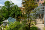 Sowing the Seed of Care, exhibition view at Orto Botanico, Siena. Photo Ela Bialkowska, OKNO studio