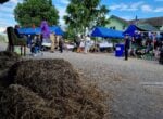 tanto sterco di vacca profuma laria del mathis hof a basel social club 2024 A Basilea puoi visitare una fiera in campagna mentre raccogli le fragole in un campo