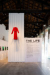The Life, Marina Abramović, Pesaro2024. Photo Culto productions