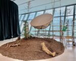 Tobias Tavella, Atmosphere Conductors, Bridging the Urban-Natural Divide, 2023, Materiali vari, Dimensioni variabili, Courtesy of the artist