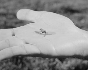 Più reale della realtà più finto della finzione