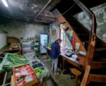 un negozio agricolo incustodito nella zona di basel social club 2024 A Basilea puoi visitare una fiera in campagna mentre raccogli le fragole in un campo