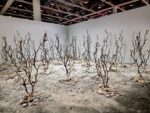 Unlimited 2024 Basilea - Kader Attia