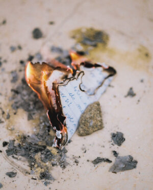 Rita Puig-Serra - Anatomy of an Oyster