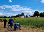 verso il main stage di basel social club 2024 A Basilea puoi visitare una fiera in campagna mentre raccogli le fragole in un campo