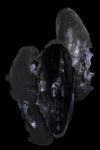 Wallace Chan, Transcendence III, 2023, Titanium, 808 x 508 x 1500 mm
