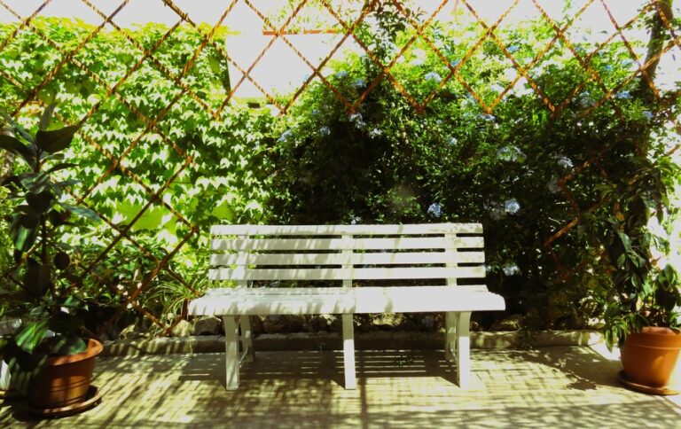 Courtesy giardino project