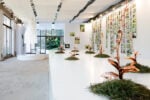 Silvia Cini Avant que nature meure _ exhibition view_ph credit Cristina Crippa