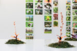 Silvia Cini Avant que nature meure _ exhibition view_ph credit Cristina Crippa