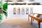 Silvia Cini Avant que nature meure _ exhibition view_ph credit Cristina Crippa