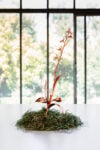 Silvia Cini Avant que nature meure _ exhibition view_ph credit Cristina Crippa