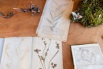 Silvia Cini Avant que nature meure _ exhibition view_ph credit Cristina Crippa