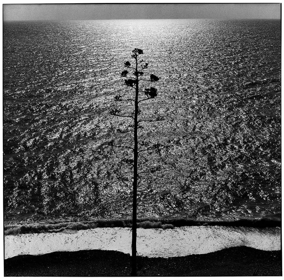 Ugo Mulas. Ossi di seppia, Monterosso, 1962