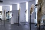 Installation view - courtesy Polo Biblio - Museale di Lecce - ph Raffaele Puce