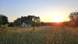 Gerold Miller - Tracce in Puglia