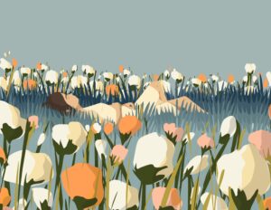 Ripido Illustration Festival 2024