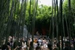 LOST Music Festival 2024