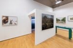 Marina Caneve, A terra tra gli animali, installation view at FMAV, Modena,2024. Photo © R.P. Guerzoni