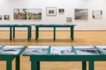 Marina Caneve, A terra tra gli animali, installation view at FMAV, Modena,2024. Photo © R.P. Guerzoni