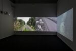 Marina Caneve, A terra tra gli animali, installation view at FMAV, Modena,2024. Photo © R.P. Guerzoni