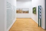 Marina Caneve, A terra tra gli animali, installation view at FMAV, Modena,2024. Photo © R.P. Guerzoni