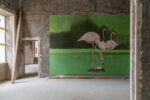Palazzo Nardini, work in progress. Tracce del passato come Casa delle donne. Photo Irene Fanizza