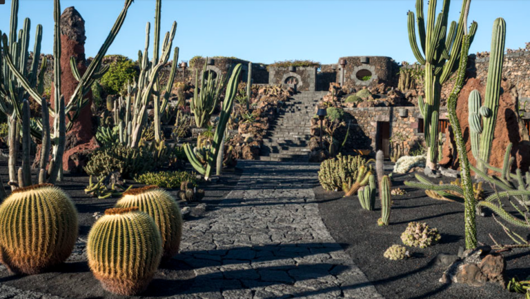 Premio Carlo Scarpa, Jardin de Cactus, Lanzarote