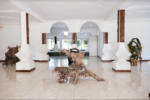 Interlude Rwanda